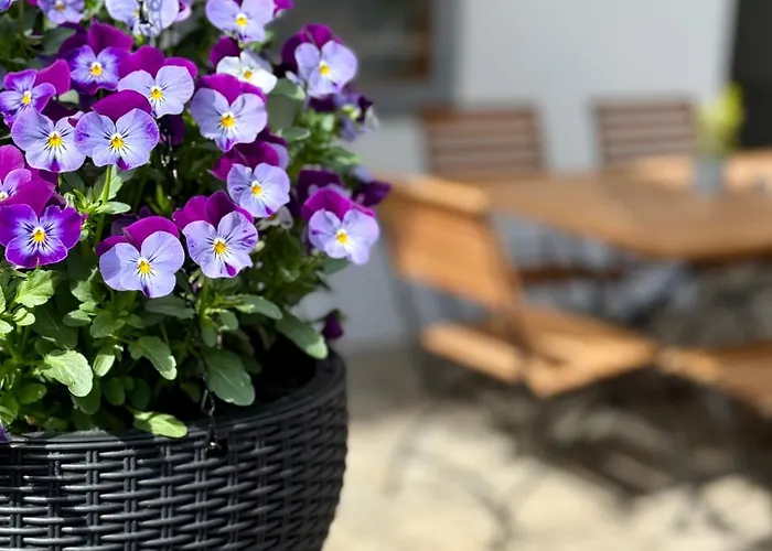 Main 3* נורדהיים